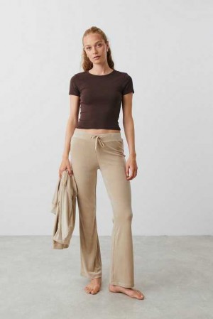 Beige Women Gina Tricot Velour Trousers | 39QBTACSG