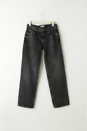 Black Women Gina Tricot Low Straight Petite Jeans | 28DYSUXPJ