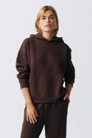 Brown Women Gina Tricot Basic Original Hoodie | 94DJQLXMO